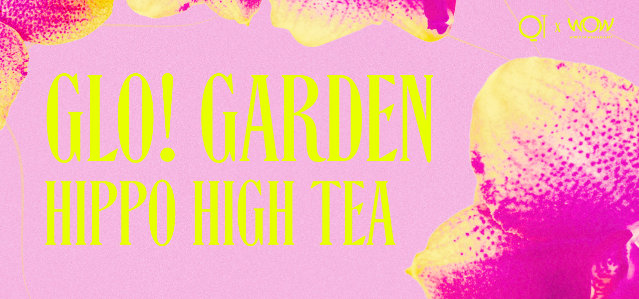 WOW X QT -GLO Garden Hippo High Tea